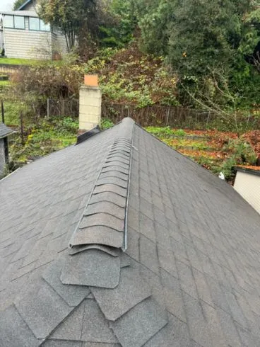 roofing contractor