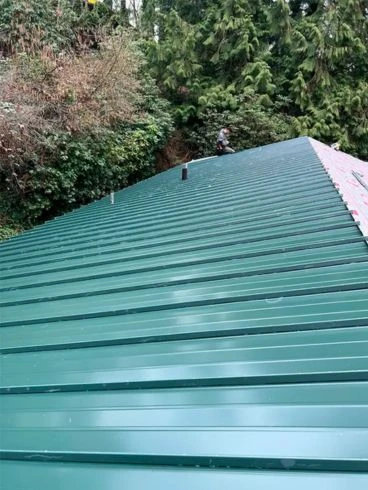 roof repair
